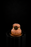 Feature Choux