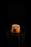 Individual Tart au Citron